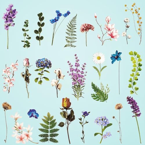 Habett 160+ PCS Natural Flower Stickers for Scrapbooking, Transparent