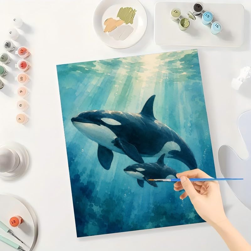 Marine Wildlife Digital Painting Kit for Adults - DIY Orca Whale Mother and Calf Oil Painting on Canvas 16X20IN framed, Acrylic Paint Kit, Good for Beginners, Coastal Home Decor or Gift Artwork