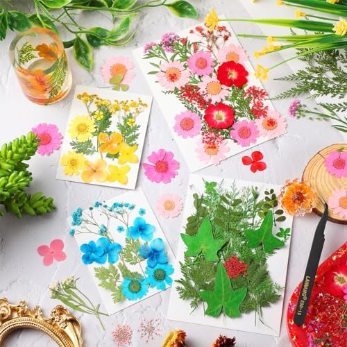Nuanchu Real Dried Pressed Flowers Wildflowers for Crafts Resin Molds DIY