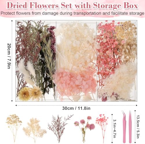 Real Dried Flowers 100% Natural Dried Flowers, Mixed Colors Dried Leaf Flowers for DIY Arts and Crafts Candles Resin Jewelry Nail Pendant Cards Scrapbooking Wedding Home Decoration (Pink)
