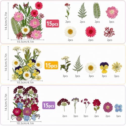 180 pcs Dried Flowers for Resin, Natural Flowers and Leaves Kit with Butterfly Stickers， Vacuum Sealed DIY Pressed Flowers for Jewelry Molds, Candle Soap Making, Scrapbook, Nail Art (Colorful-E)