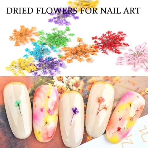 2 Boxes 3D Real Dried Flowers for Nail Art Colorful Mini Natural Gypsophila