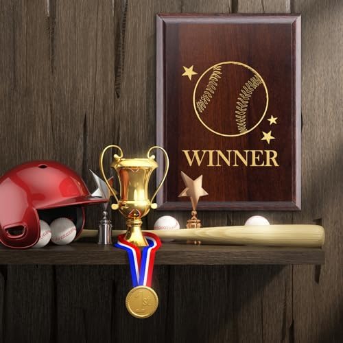 DIY Blank Wooden Award Plaques