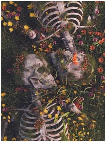 Skull Diamond Art Kits for Adults, Skeleton Diamond Painting Kits 12x16 in | Diamond Painting Kits for Adults Beginners, Gem Art, 5D Full Drill, DIY Arts and Crafts for Gift Home or Decor