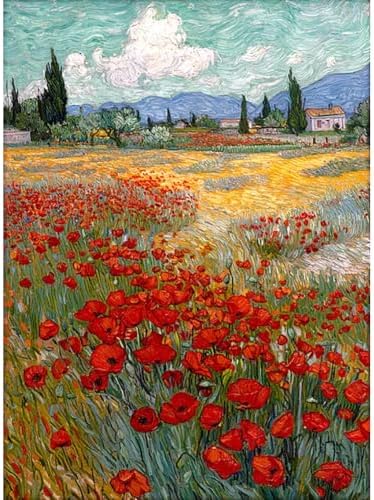 YOLENIX Field with Poppies Diamond Art Kits for Adult Diamond Painting Kit