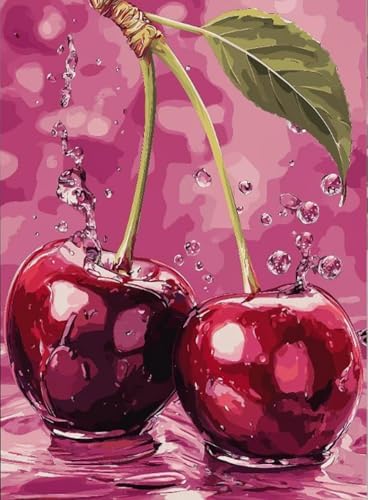 AIBOERL Diamond Art Kits for Adults,Cherry Diamond Painting Wall Decor | Round Drill Cherry Diamond Painting for Beginners DIY Rhinestone 5D Diamond dots(Gemstone Craft)Wall Art Gift 12x16IN