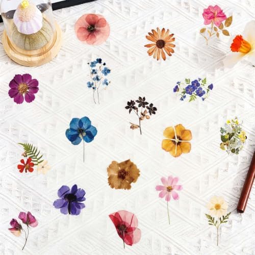 Transparent Flora Scrapbook Stickers Aesthetic Flowers Stickers(200)