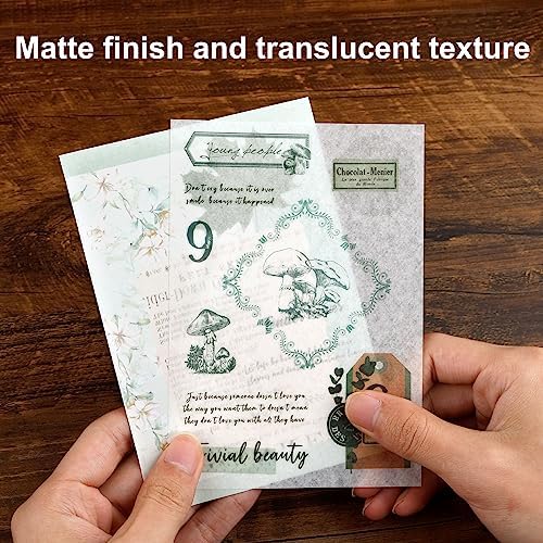 Dizdkizd Botanical Washi Stickers for Journaling, Ephemera Sticker Book for Junk Journal with 180pcs Plant Washi Stickers and 20 Adhesive Scrapbook Sticker Sheets, Vintage Scrapbooking Supplies