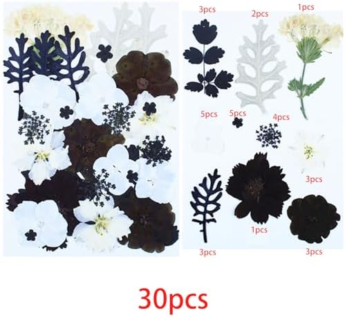 Cayway 2 Pack Pressed Flowers Natural Dried Flowers Black Resin Flowers Real Pressed Flowers with Butterfly Sticker for Resin Scrapbook DIY Art Crafts, Epoxy Resin Jewelry Supplies, Style E