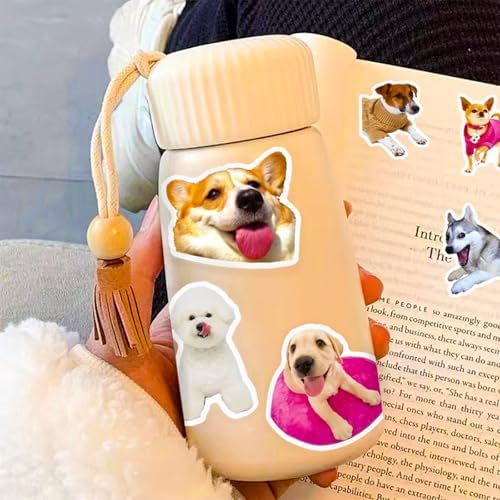 DothRayan Dog Stickers, 100 Pcs Fun Dog Waterproof Vinyl Stickers for Water Bottle, Laptop, Phone, Skateboard Stickers for Kids Teens Girls Adults