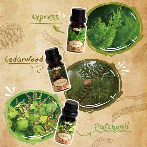 SALKING Woody Essential Oils Gift Set, Natural and Pure Aromatherapy Oil
