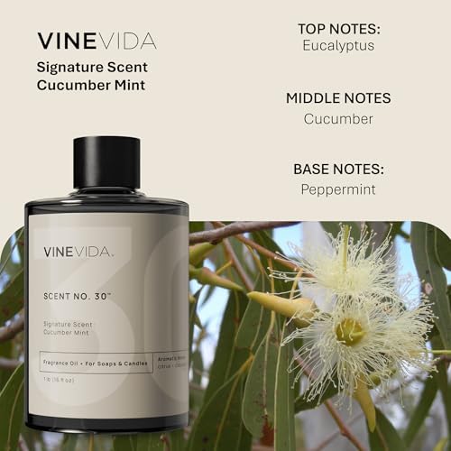 VINEVIDA Cucumber Mint Fragrance Oil [16oz] - USA Made Candle & Soap Scents