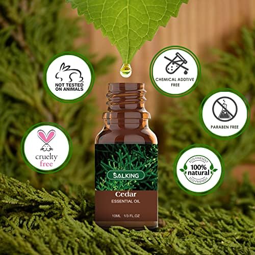 SALKING Woodsy Essential Oils Set for Men, Masculine Essential Oils Set