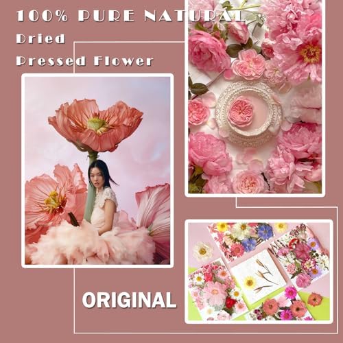 MIKIYA 90Pcs Pink Dried Pressed Flowers for Resin Molds, Assorted Real Natural Bulk Dry Floral Leaves for DIY Art Crafts, Epoxy Jewelry, Candle, Soap Making, Nails Decors Gifts