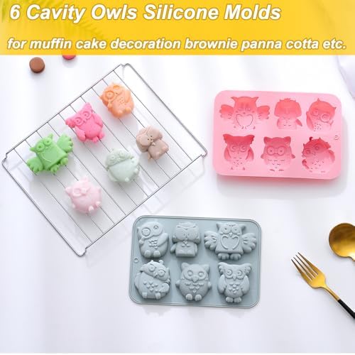 2 Pack Chocolate Molds Different Owl Shapes Silicone Molds for Cake Gummy Jello Ice Cube Crayon, Cake Decoration Soap Molds Silicone Baking Mold Making Kit, Lovely & Fun for Boys and Girls