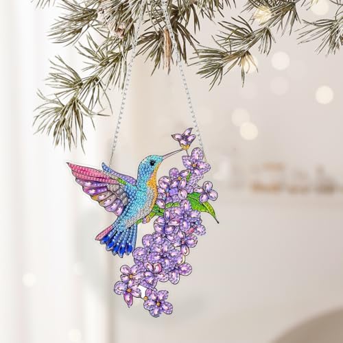 AIBOERL Diamond Art Kits for Adults,Hummingbird Acrylic Hanging Suncatcher