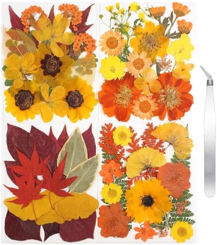 Dried Flowers 68Pcs Fall Pressed Flower with Tweezer for Crafts