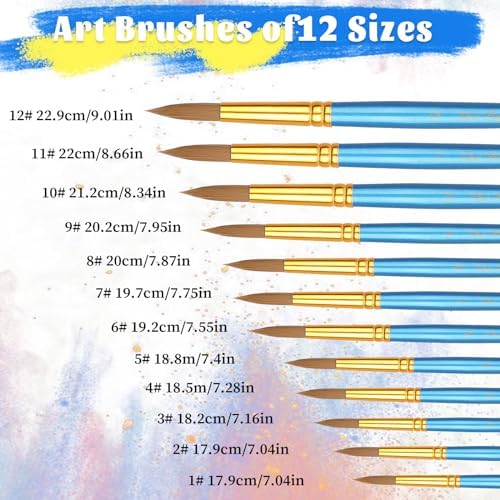 12pcs Round Paint Brushes Watercolor Brushes Round Water Color Paintbrushes for Acrylic Painting Artist Body Face Oil Paint Brush for Model Rock Craft Canvas Nail Art Miniature