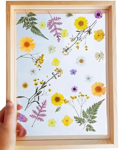 Cayway 4 Pack Natural Dried Pressed Flowers for Resin, Scrapbook, DIY Art Crafts, Epoxy Jewelry, Card Making Supplies - Colorful Real Flowers, Style F