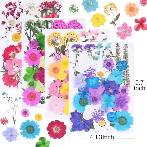 141Pcs Colorful Dried Pressed Flowers for Crafts,Xinxinran Dry Flowers Kit for Resin Molds,Epoxy Resin Accessories,Bookmark,Nails, Jewelry Molds,Candle Making Supplies,Soap,Frame(Mix Color)