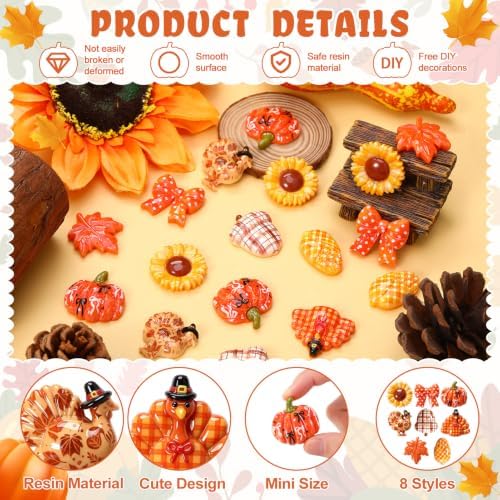 80 PCS Thanksgiving Resin Charm Mini Fall Flatback Charms