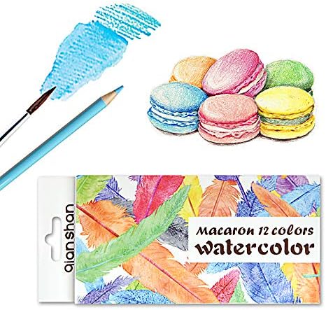 12 Macaron Colored Pencils Oil Based, Pre-sharpened Wooden Color Pencils