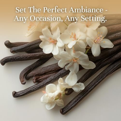 P&J Trading Fragrance | Vanilla Bean Oil 100ml - Candle Scents for Candle Making, Freshie Scent, Soap Making Supplies, Diffuser Oil Scents