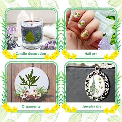 Timtin 84 Pcs Dried Pressed Leaves Flowers for Resin, Classic