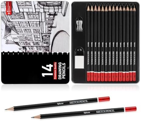 Professional Sketch Pencil Set, 14 Piece Drawing Pencils (12B-6H), Graphite Charcoal Art Pencils with Eraser and Sharpener in Metal Tin Case