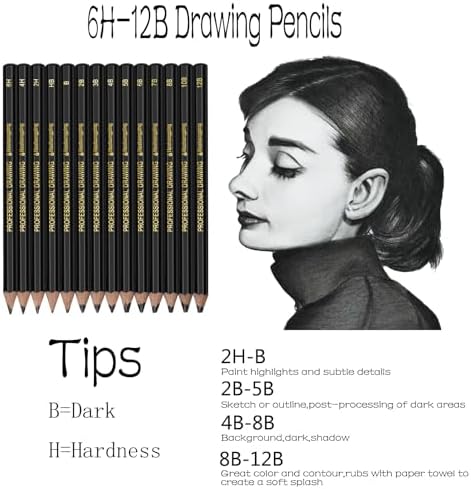Heshengping Drawing Sketch Pencil Set 14pcs Sketching Pencils 12B 10B 8B 7B 6B 5B 4B 3B 2B B HB 2H 4H 6H Graphite Pencils for Kid Adults Artists Student Beginners Professional