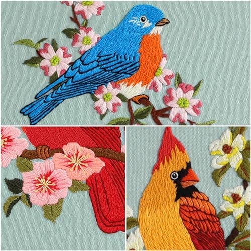Louise Maelys 3 Set Colorful Bird Embroidery Kit for Beginners Gift