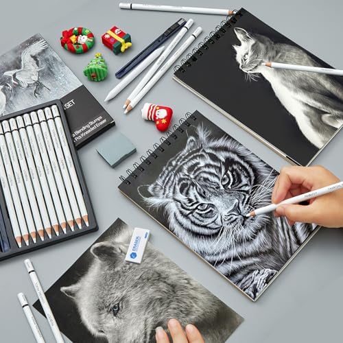 PANDAFLY Professional White Charcoal Pencils Set, 14 Piece
