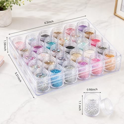 BigOtters 30 Grids Diamond Painting Storage Containers, Portable Bead Art Organizer Case with Lids for Crafts, Jewelry DIY
