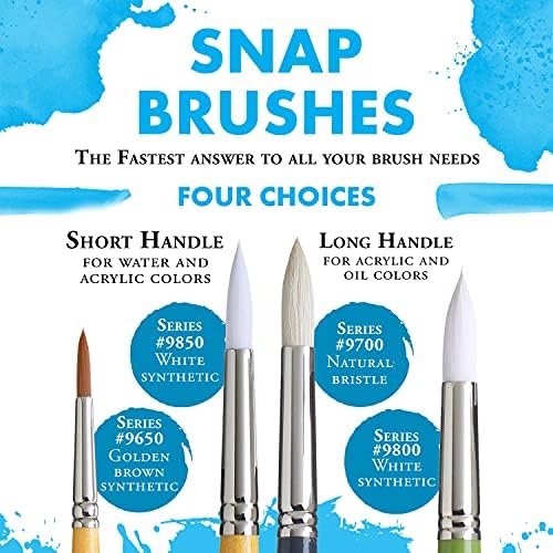 Princeton Snap! PAB96522 9650SET-2 Snap Brush, Round 6 4 Stroke 34", Multicolor