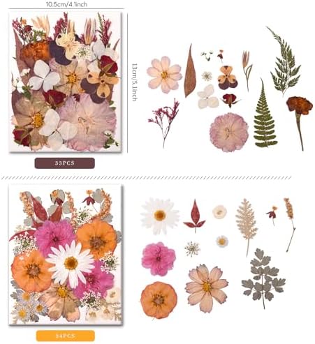 100 PCS Cream Color Pressed Dried Flowers & Leaves | Real Natural Dried Flowers, With Tweezers, For Resin, Candle, Jewelry, Scrapbooking & DIY Crafts