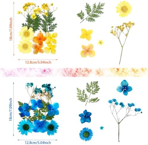 Nuanchu Real Dried Pressed Flowers Wildflowers for Crafts Resin Molds DIY