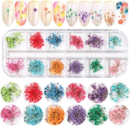 2 Boxes 3D Real Dried Flowers for Nail Art Colorful Mini Natural Gypsophila