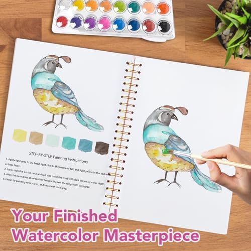 Easy Watercolor Workbook for Beginners - 12 Beautiful Step-by-Step Paintings Water Coloring Book, Includes 16 Colors Paints, Relaxing Art Projects and Creative Gift for Adults & Teen (Birds)