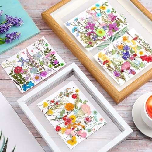 Nuanchu Vibrant Tiny Dried Pressed Flowers Wildflowers for Craft Resin Mold
