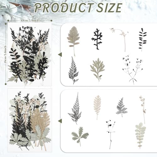 Timtin 84 Pieces Dried Pressed Leaves Dried Flowers for Resin Dried Leaves for Resin Mini Dried Flowers for Crafts Dried Greenery Assorted for Art DIY Handmade Bookmarks 4 Bags (Stylish Style)