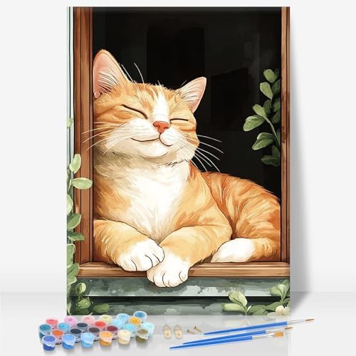 Camocin Framed Paint by Numbers Kit for Adults Beginners – Cute Orange Cat