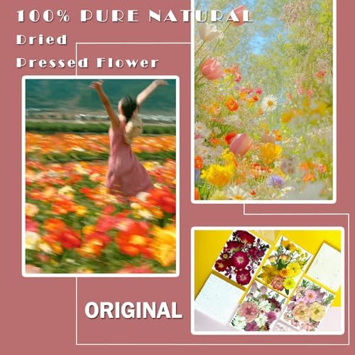MIKIYA 86Pcs Dried Pressed Flowers for Resin, Real Natural Bulk Assorted Dry Floral Leaves for DIY Art Crafts, Epoxy Molds, Jewelry, Soap, Candle Making, Nails Decors