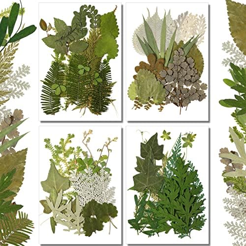 Timtin 84 Pcs Dried Pressed Leaves Flowers for Resin, Vivid