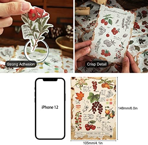 Dizdkizd Nature Botanical Stickers for Journaling, Ephemera Sticker Book, Translucent Washi Sticker for Scrapbooking - 20 Sheets (200 Pieces)