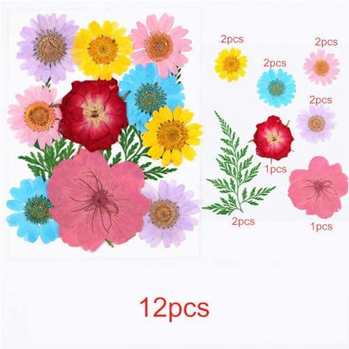 Cayway Natural Dried Pressed Flowers, Natural Dried Pressed Leaves, Natural Dry Flowers Leaves with Tweezers, Scissors for Pressed Leaf Art Craft DIY Embellishment Decorations ( Green Yellow Pink)
