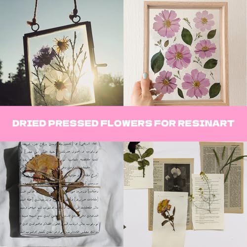 Dried Flowers for Resin 116Pcs Pink Real Natural Pressed Flowers