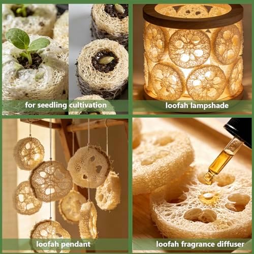 Natural Loofah Sponge, Organic Loofah Slices for Soap Making, 20 Pack