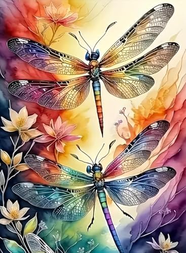 AIBOERL Paint by Numbers Kit for Adults Beginner, Dragonfly, 12X16In