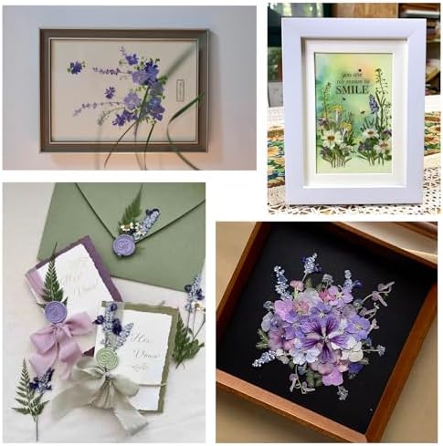 50Pcs Lavender Dried Pressed Flowers for Crafts,Xinxinran Dry Flowers Kit for Wedding Invitation,Resin Molds Bookmark,Jewelry Molds,Candle Making Supplies,Soap,Frame,Cakes