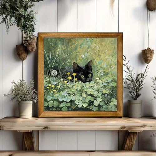 black cat Diamond Art Kits for Adult Diamond Painting Kit for Beginner